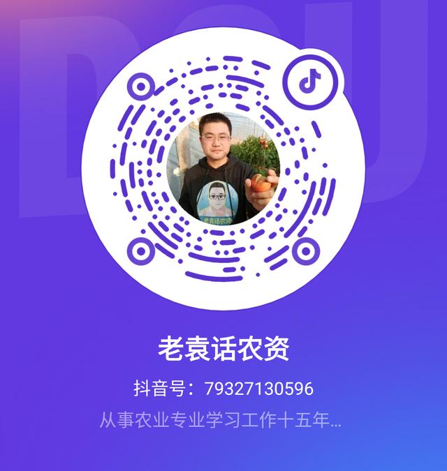 西红柿种植遇上裂果病，该如何防治？7