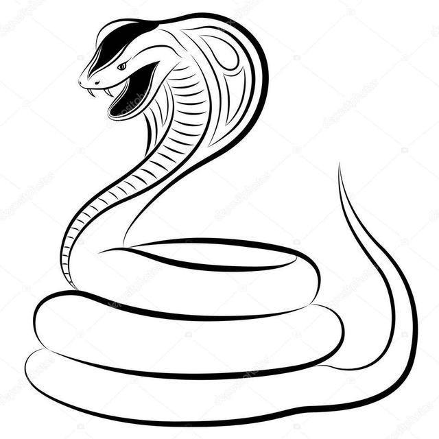 眼镜王蛇和眼镜蛇的区别,眼镜王蛇和眼镜蛇的区别(眼镜王蛇和眼镜蛇的