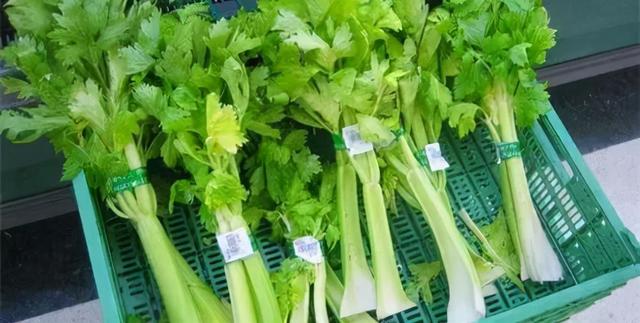 吃芹菜为什么不吃叶子？或许很多人都不清楚，不妨详细了解一下