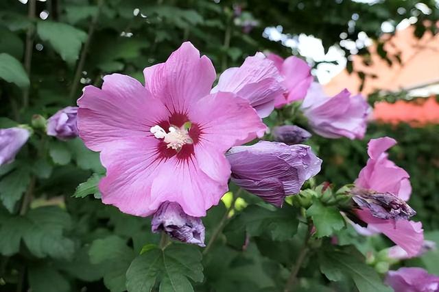 前任回头只有两种情况爱你和玩你如何才能分清，前任玩你的表现