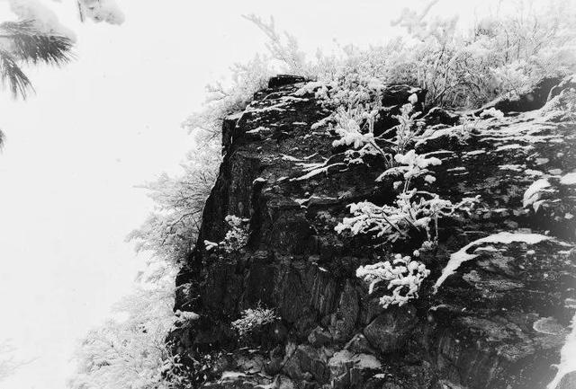秦嶺古道探秘：水墨義谷古道