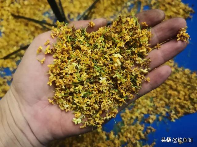 冲击式破碎机的用法