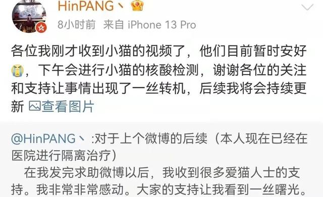“确诊后，我的猫就要被人道销毁？”