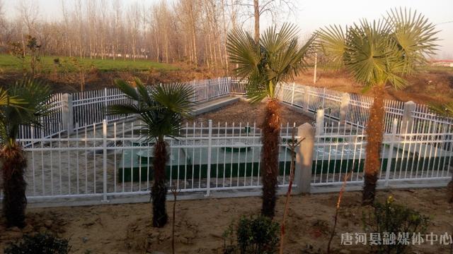 南阳卧式过滤机