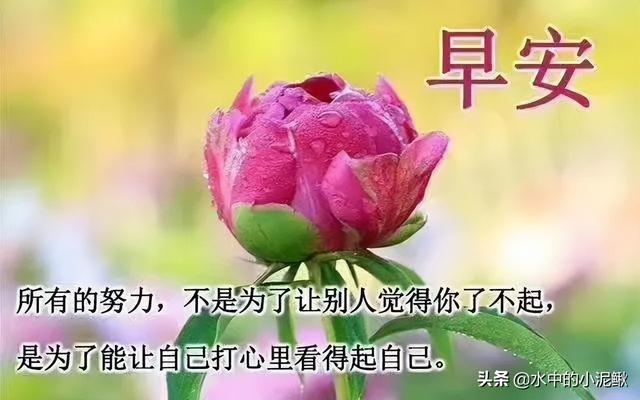 早安语录唯美句子早安励志说说，早上好最经典的早安语录句子