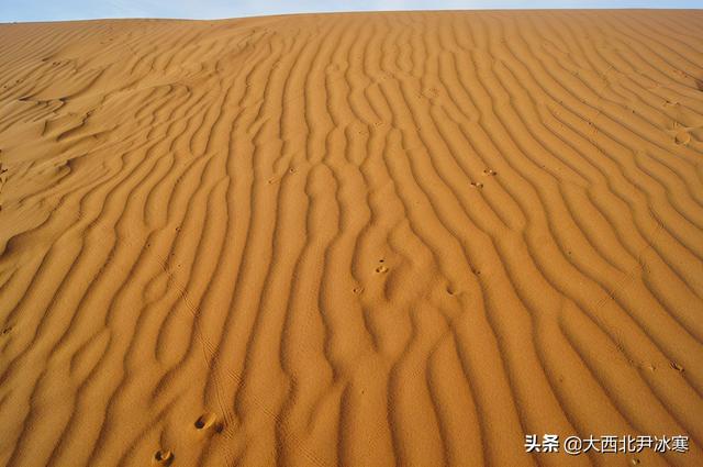 跟著三毛的足迹一起走進撒哈拉沙漠（圖）