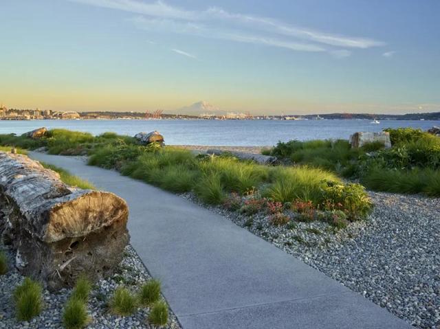 Expedia集團開發的濱海公園，讓遊客沉浸在自然沿海景觀中