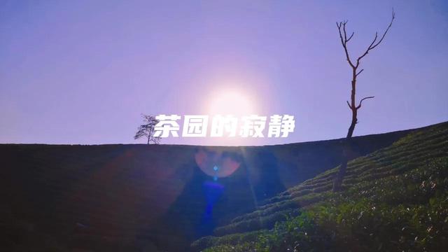 你最喜欢的事？#如何用一句话表示你很富有#