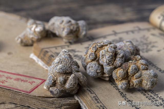 血脂高？多源于脾肾阳虚，送你六味中药，温脾肾、祛痰浊、化血瘀
