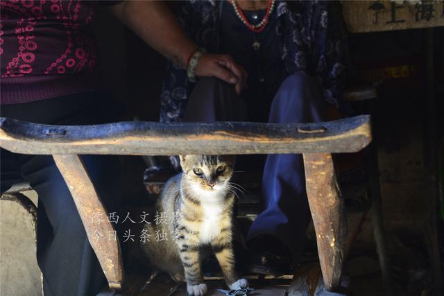 爱吃糖、半夜吃零食、喝开口一天的啤酒，105岁奶奶这习惯有点怪