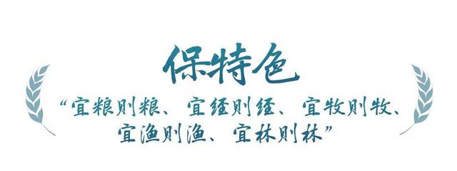 春事看农桑 |“大食物观”托起“舌尖幸福”