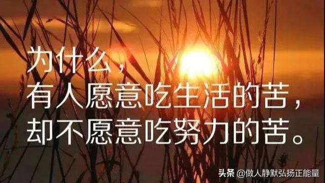 感悟人生的经典句子