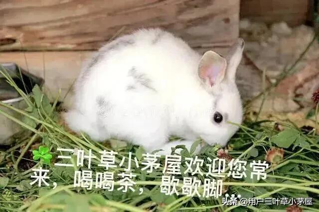 你会在头条一直写下去吗？