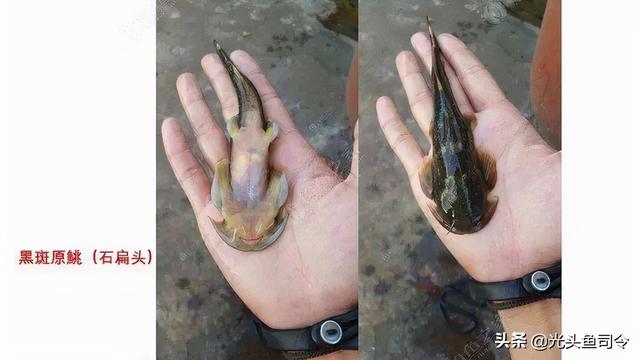 泉州青石制砂机器厂家