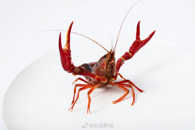 日本立法禁售小龙虾