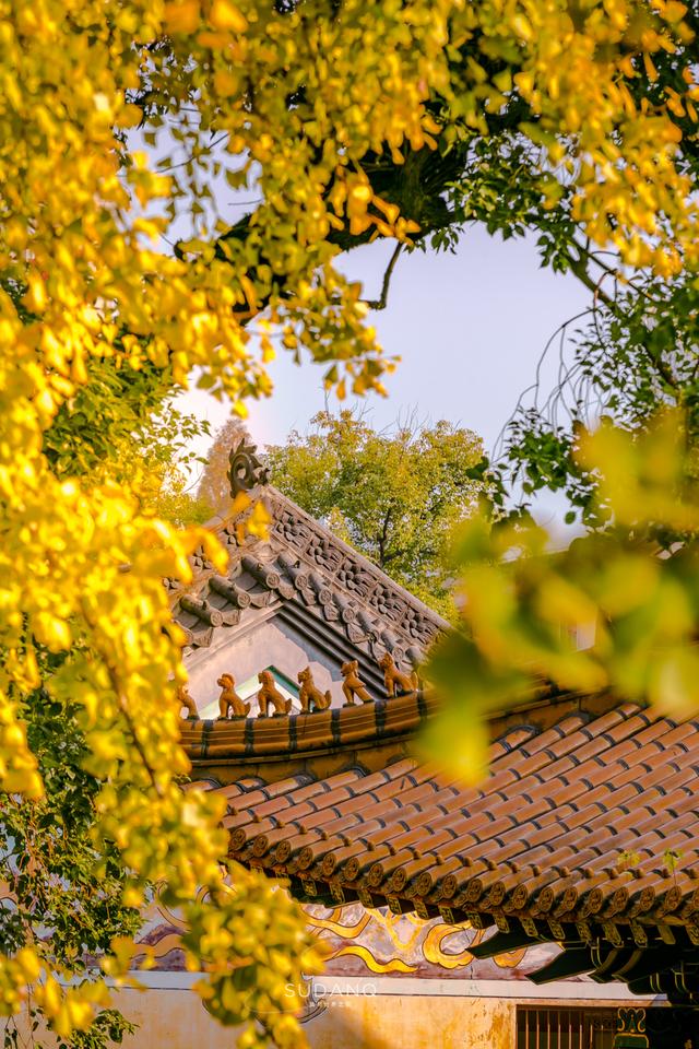 武漢寶通禅寺：在千年皇家寺院賞秋，是什麽感覺？