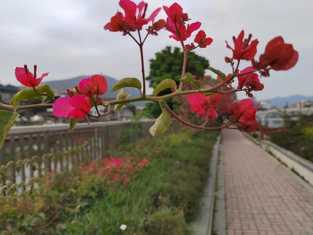 立夏修行德与才