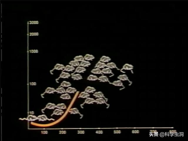 毛骨悚然的25号宇宙实验：在人造天堂里，鼠群560天后走向灭亡