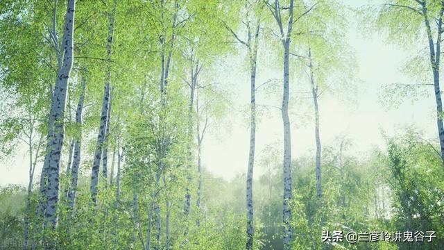 开春养生好时节，推荐7个不用花钱的养生方法，一年远离疾病