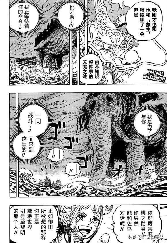 One Piece Chapter 1041 Analysis Five Old Stars Killed Luffy The Rubber Fruit Is That Fruit Daydaynews