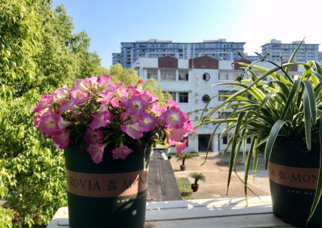 小型花盆破碎机价格