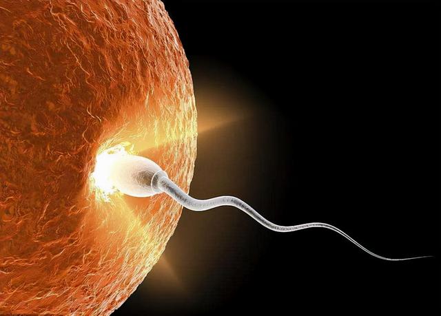 电热毯有辐射，对人体伤害大？这4种人或不适合使用电热毯