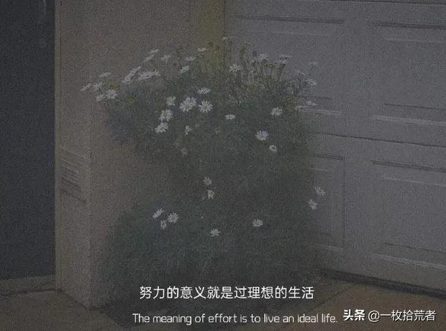 网易云热评分享：我从不惧怕黑暗，假如我从未见过光明
