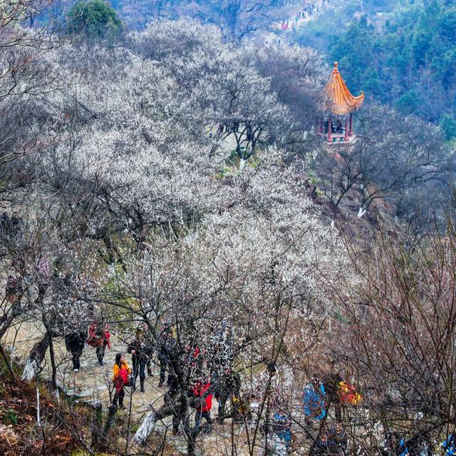 浈淩潮 │千年梅關道 百世珠玑情