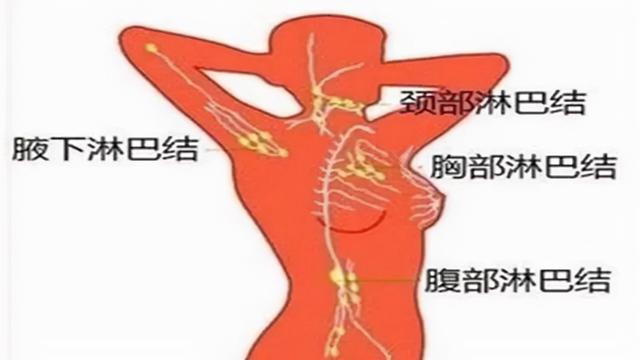 春季艾灸，正当时！淋巴结、甲状腺结节、乳腺结节...都可灸