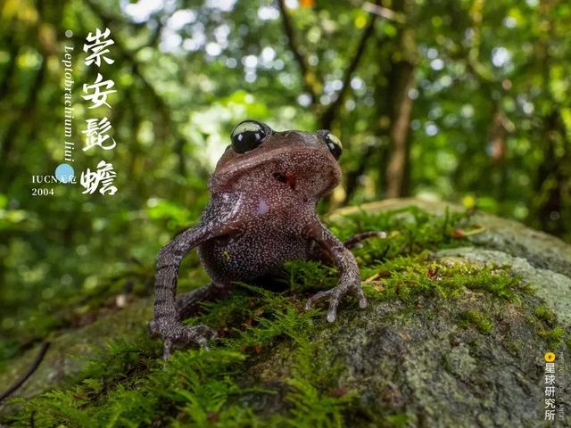 福建风化岩螺旋洗砂机多少钱