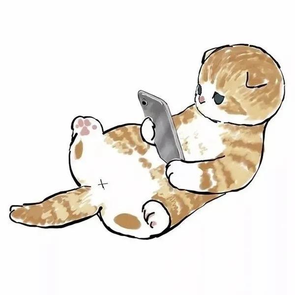 萌猫头像治愈系萌宠头像