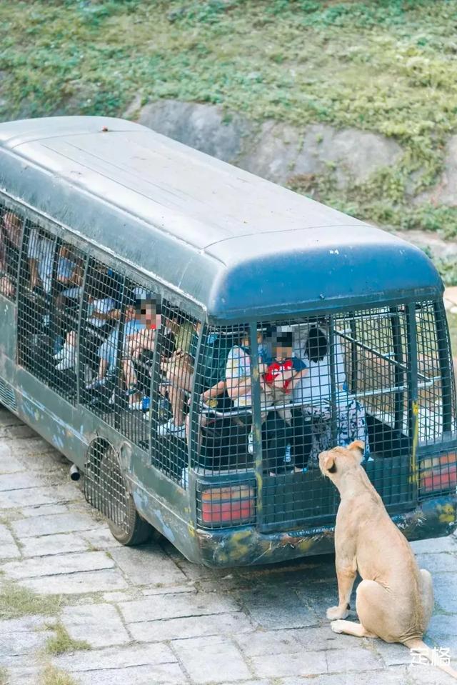 深圳市野生动物园