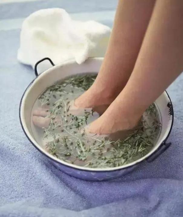 睡前坚持用艾叶泡脚，或能帮你改善这5种问题，不妨试试
