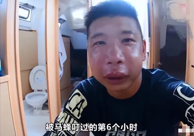 扫墓被马蜂袭击，一死多伤，遇到马蜂快跑还是不动？正确做法来了