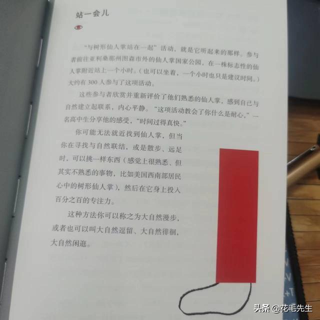 放下手机，唤醒你的感观，聆听内心