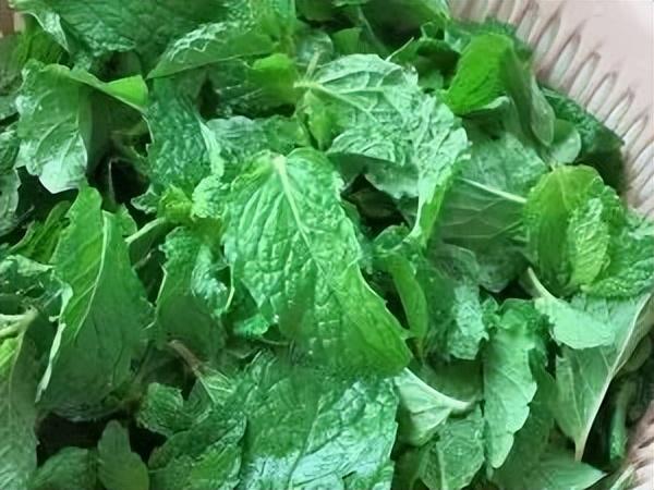 |药膳馆｜清明前后防感避湿，试试这个食疗方