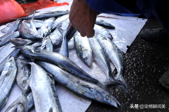 刀鱼炖豆腐