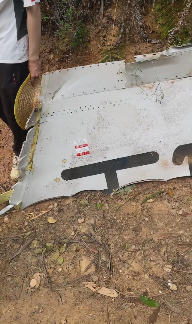 一架波音737客机在广西坠毁，5分钟掉落1万米，132人经历了什么？