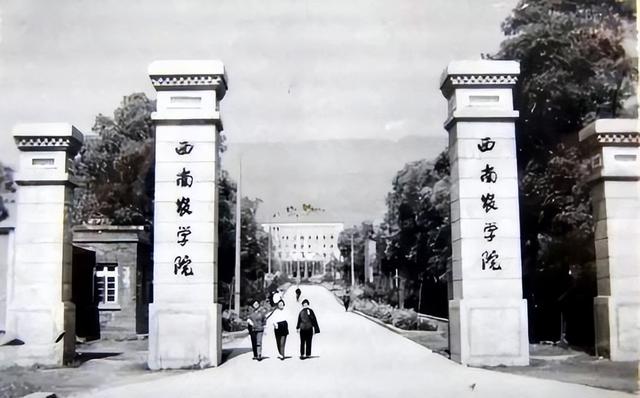 万小刀：清明节，怀念那个让我们吃饱饭的人