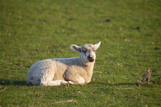 璀璨人生大结局的前一句(璀璨人生所有人都知道真相)