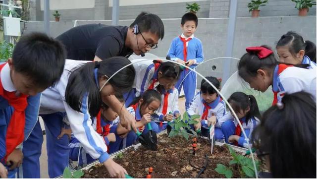 中小学迎来新课程，学生要学会“煮饭种菜养禽”等，9月开学实行