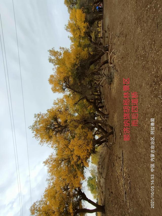 西行漫記之10月5日內蒙古篇