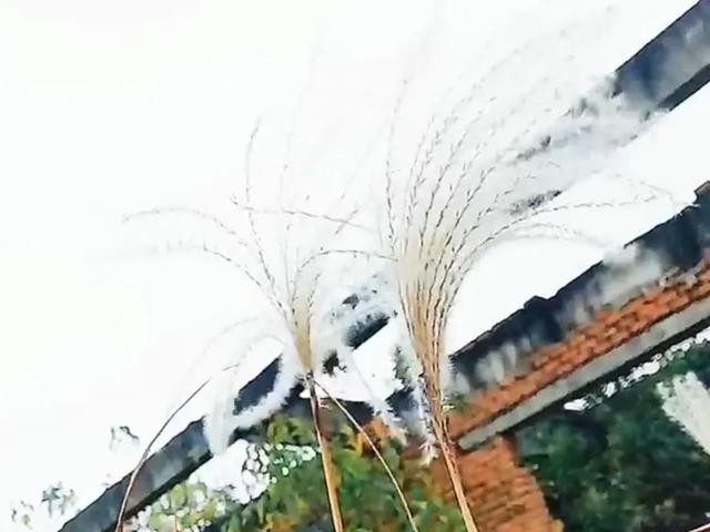 励志语录 生活其实没那么难，难的是你自己