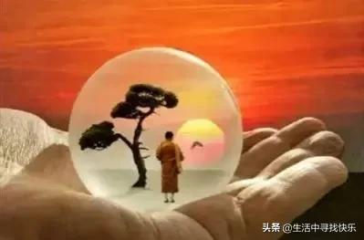 生命毒刺 (句句入骨)