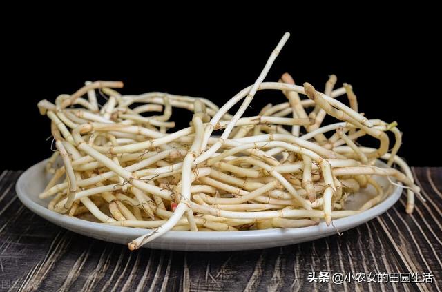 10种“神仙草”，春天采摘正当时，味道鲜美，还有益健康