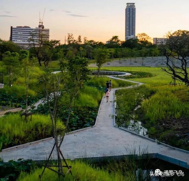 泰國旅行新打卡地：曼谷綠肺中央公園完工，市中心的湖景森林濕地
