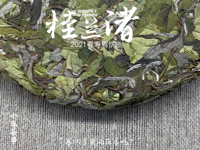 普洱轮斗洗砂机品牌