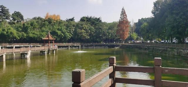 日光性角化破损流血