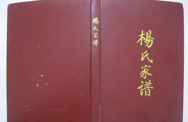精忠报国的“杨家将”，今安在？37代传人在四川，却遭遇如此窘境