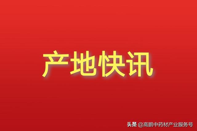 关于云县洗砂机多少钱的信息